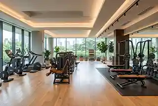 Gymnasium